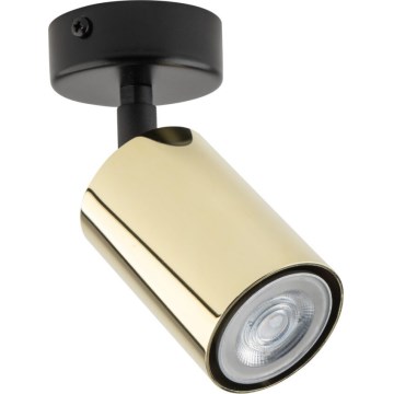 Foco orientable ZOOM 1xGU10/10W/230V latón/negro