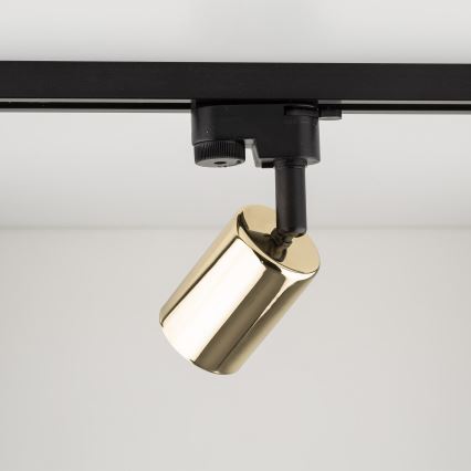 Foco para sistema de rieles TOP 1xGU10/10W/230V dorado/negro