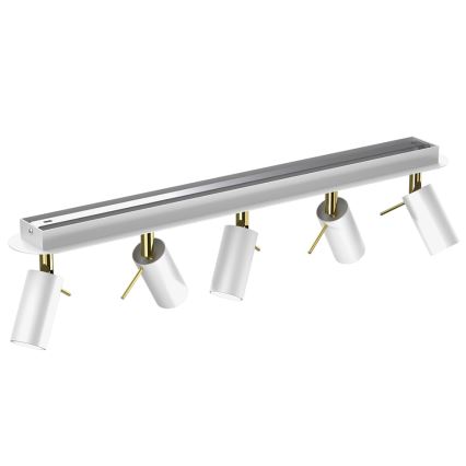 Foco PRESTON 5xGU10/MR11/40W/230V blanco/dorado