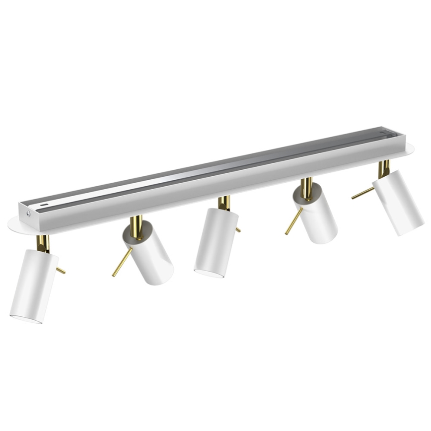 Foco PRESTON 5xGU10/MR11/40W/230V blanco/dorado