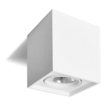 Foco QUANDO G53/50W/230V