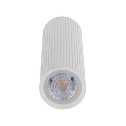 Foco TUNE M 1xGU10/10W/230V 17 cm blanco