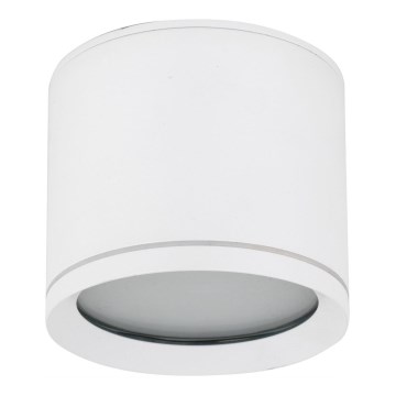 Foco VIVO 1xGX53/10W/230V 10 cm blanco