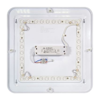 Fulgur 24313 - Plafón LED PAVLA STARS LED/36W/230V 2700K