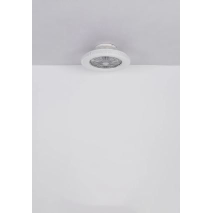 Globo - Ventilador de techo LED regulable LED/40W/230V 3000-6500K + control remoto