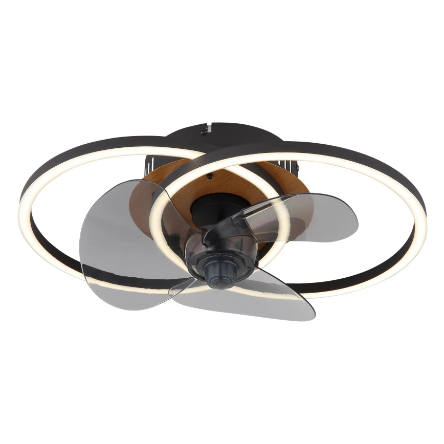 Globo - Ventilador de techo LED regulable LED/24W/230V 2700-6500K + control remoto
