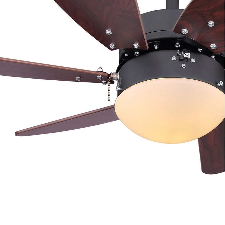 Globo - Ventilador de techo 1xE14/60W/230V