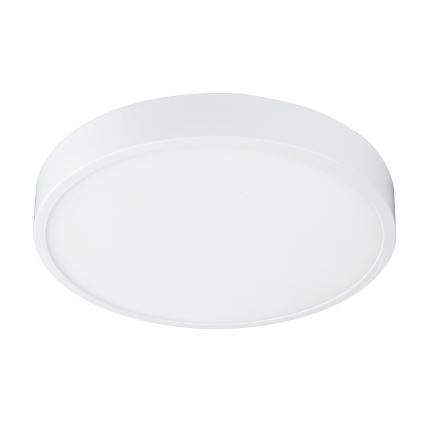 Globo - LED Lámpara del baño regulable LED/28W/230V IP44