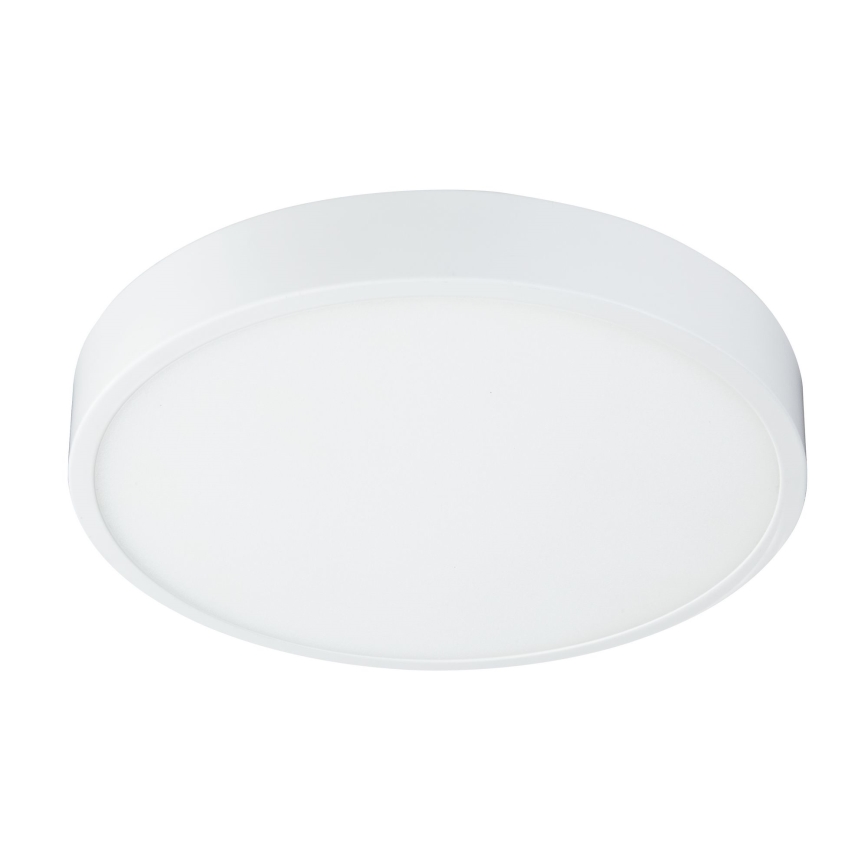 Globo - LED Lámpara del baño regulable LED/28W/230V IP44
