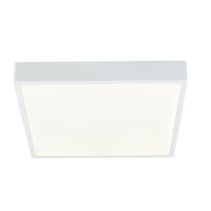 Globo - Plafón LED regulable LED/28W/230V