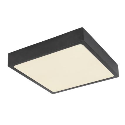 Globo - Plafón LED LED/22W/230V