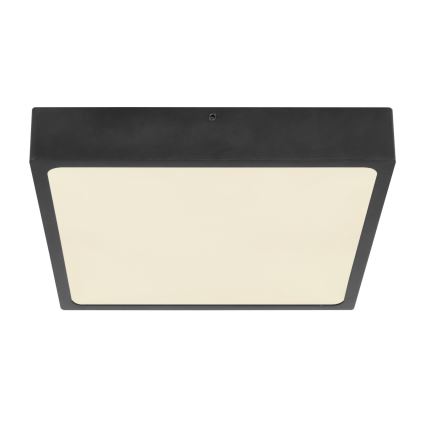 Globo - Plafón LED LED/22W/230V