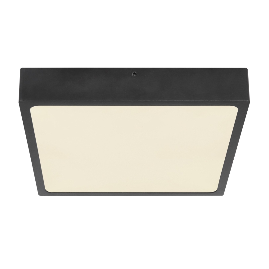 Globo - Plafón LED LED/22W/230V