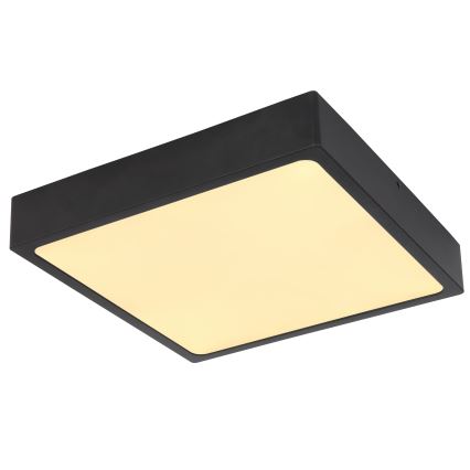 Globo - Plafón LED LED/22W/230V