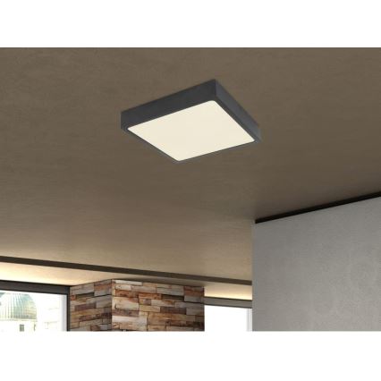 Globo - Plafón LED LED/28W/230V