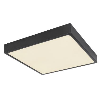 Globo - Plafón LED LED/28W/230V