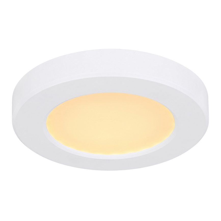 Globo - Plafón LED LED/6W/230V 3000/4000/6500K blanco