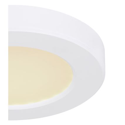 Globo - Plafón LED LED/6W/230V 3000/4000/6500K blanco