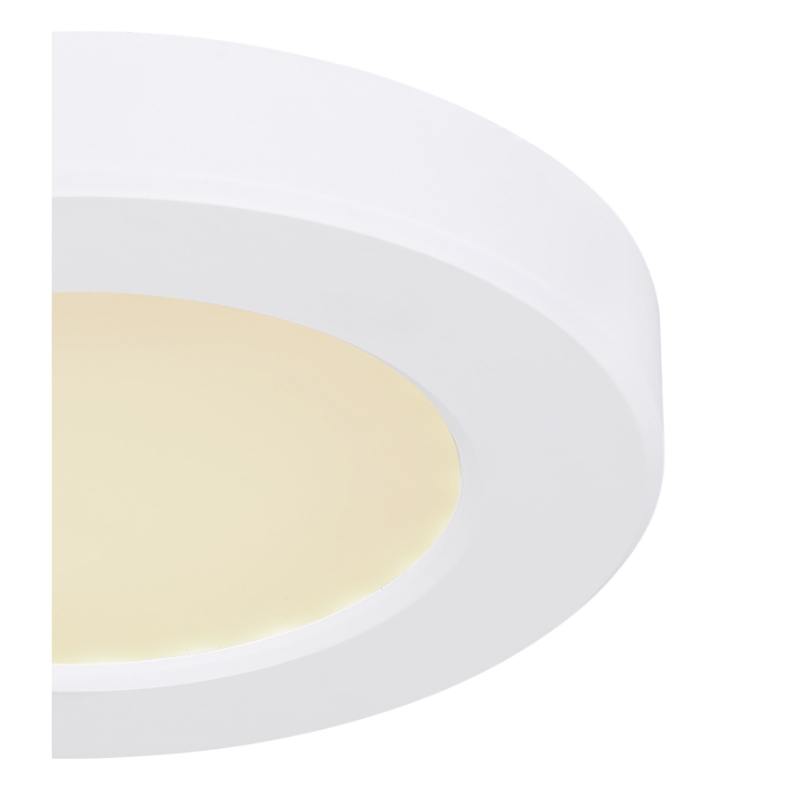 Globo - Plafón LED LED/6W/230V 3000/4000/6500K blanco