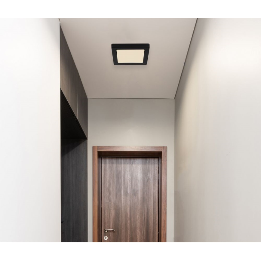 Globo - Plafón LED LED/12W/230V 3000/4000/6500K negro