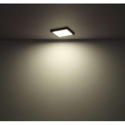 Globo - Plafón LED LED/12W/230V 3000/4000/6500K negro