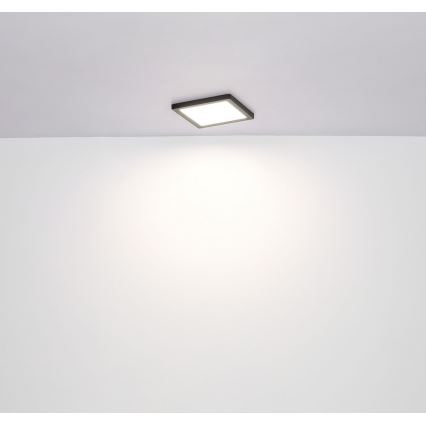 Globo - Plafón LED LED/12W/230V 3000/4000/6500K negro