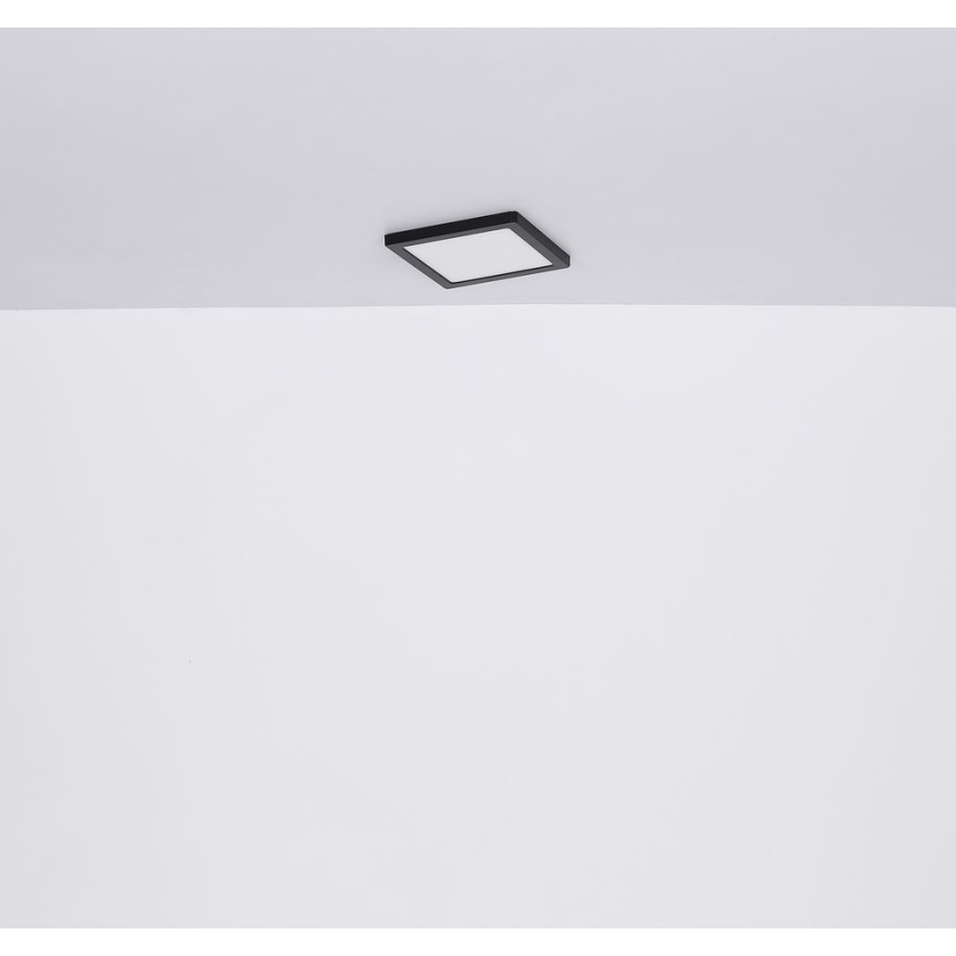 Globo - Plafón LED LED/12W/230V 3000/4000/6500K negro