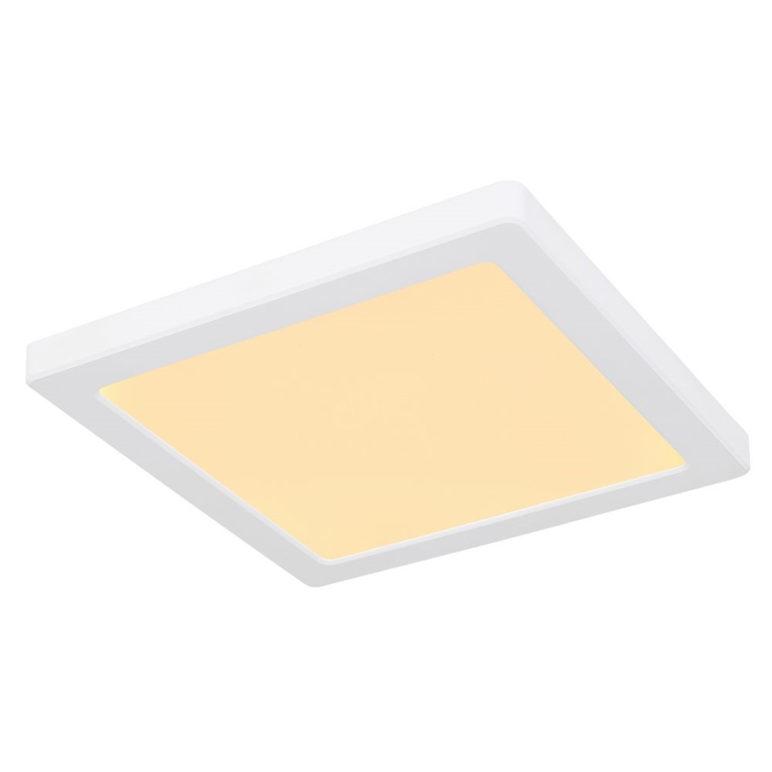 Globo - Plafón LED LED/18W/230V 3000/4000/6500K blanco