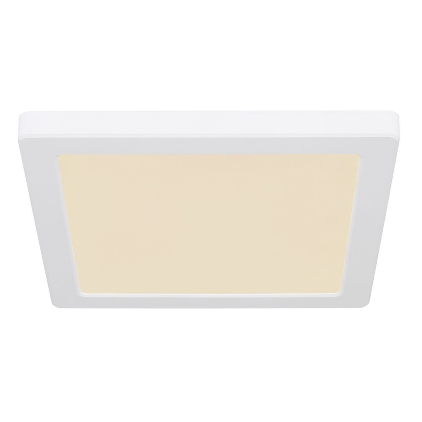Globo - Plafón LED LED/18W/230V 3000/4000/6500K blanco