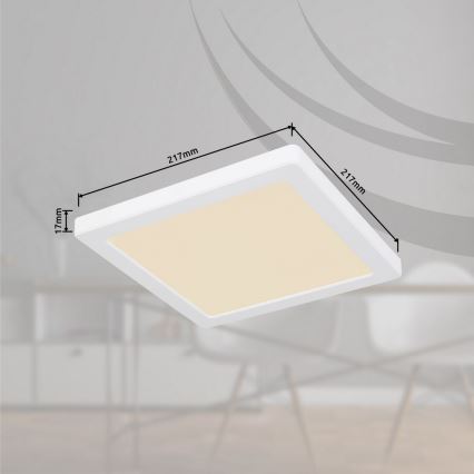 Globo - Plafón LED LED/18W/230V 3000/4000/6500K blanco