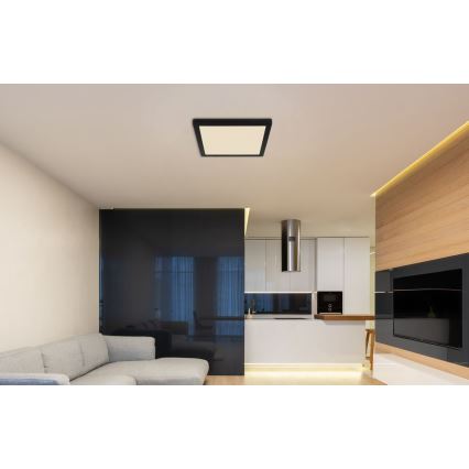 Globo - Plafón LED LED/24W/230V 3000/4000/6500K negro