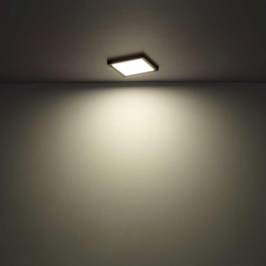 Globo - Plafón LED LED/24W/230V 3000/4000/6500K blanco