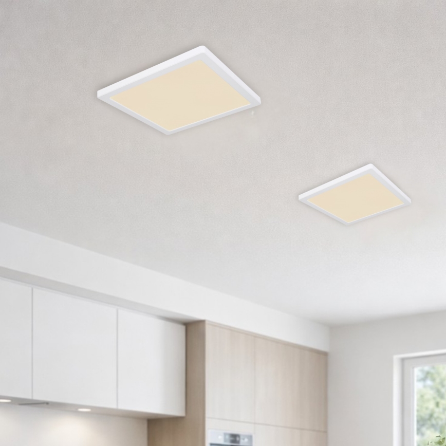 Globo - Plafón LED LED/24W/230V 3000/4000/6500K blanco