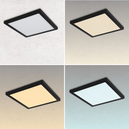 Globo - Plafón LED LED/24W/230V 3000/4000/6500K blanco