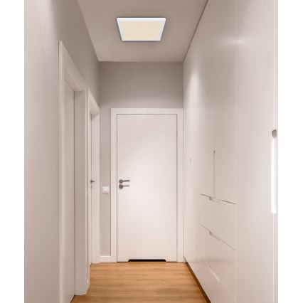 Globo - Plafón LED LED/24W/230V 3000/4000/6500K blanco