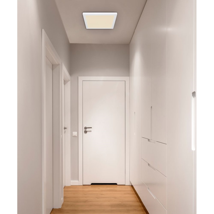 Globo - Plafón LED LED/24W/230V 3000/4000/6500K blanco