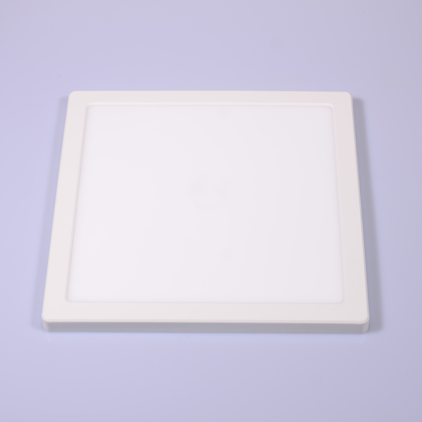 Globo - Plafón LED LED/24W/230V 3000/4000/6500K blanco