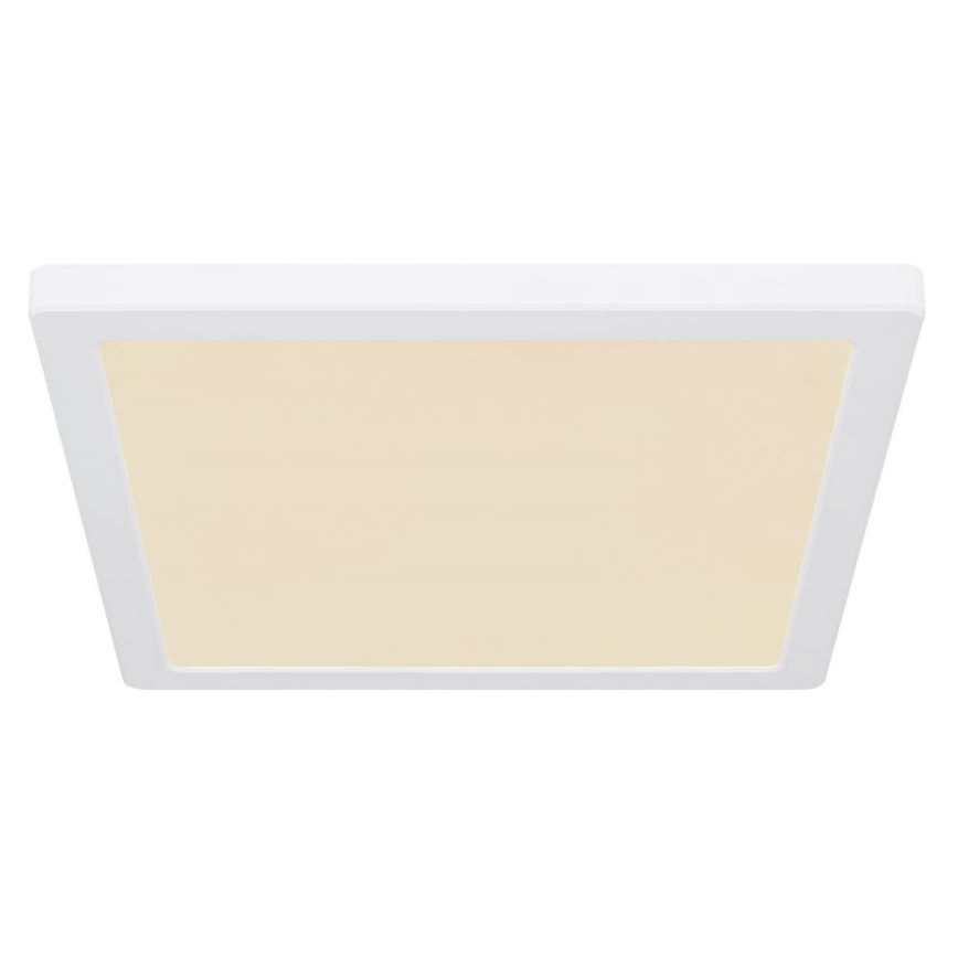 Globo - Plafón LED LED/24W/230V 3000/4000/6500K blanco