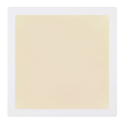Globo - Plafón LED LED/24W/230V 3000/4000/6500K blanco