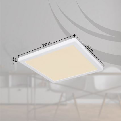 Globo - Plafón LED LED/24W/230V 3000/4000/6500K blanco