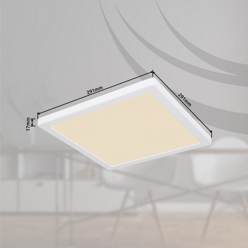 Globo - Plafón LED LED/24W/230V 3000/4000/6500K blanco