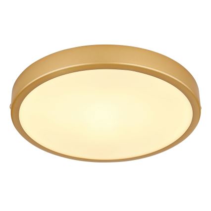 Globo - Plafón LED LED/15W/230V diá. 25 cm