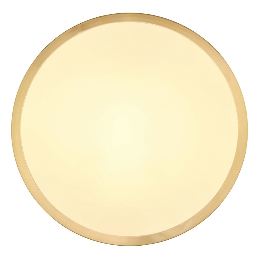 Globo - Plafón LED LED/15W/230V diá. 25 cm