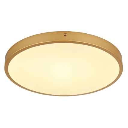 Globo - Plafón LED LED/22W/230V diá. 35 cm