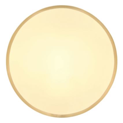 Globo - Plafón LED LED/22W/230V diá. 35 cm