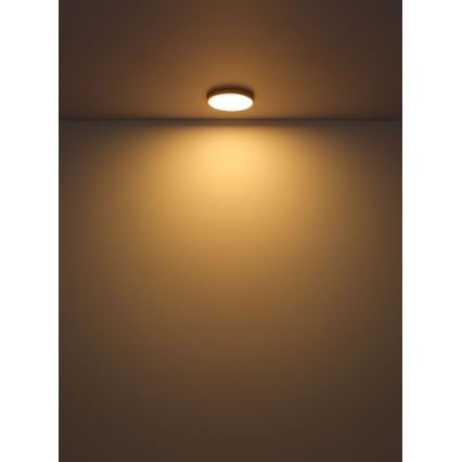 Globo - Plafón LED LED/30W/230V diá. 45 cm