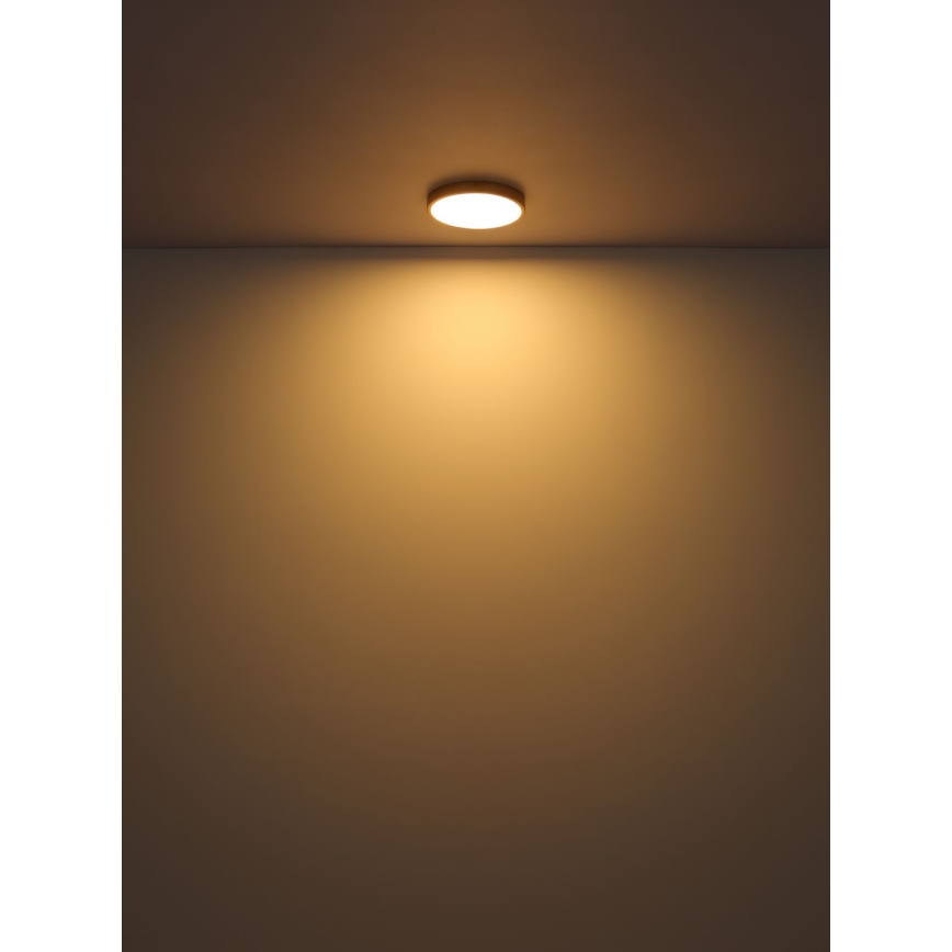 Globo - Plafón LED LED/30W/230V diá. 45 cm