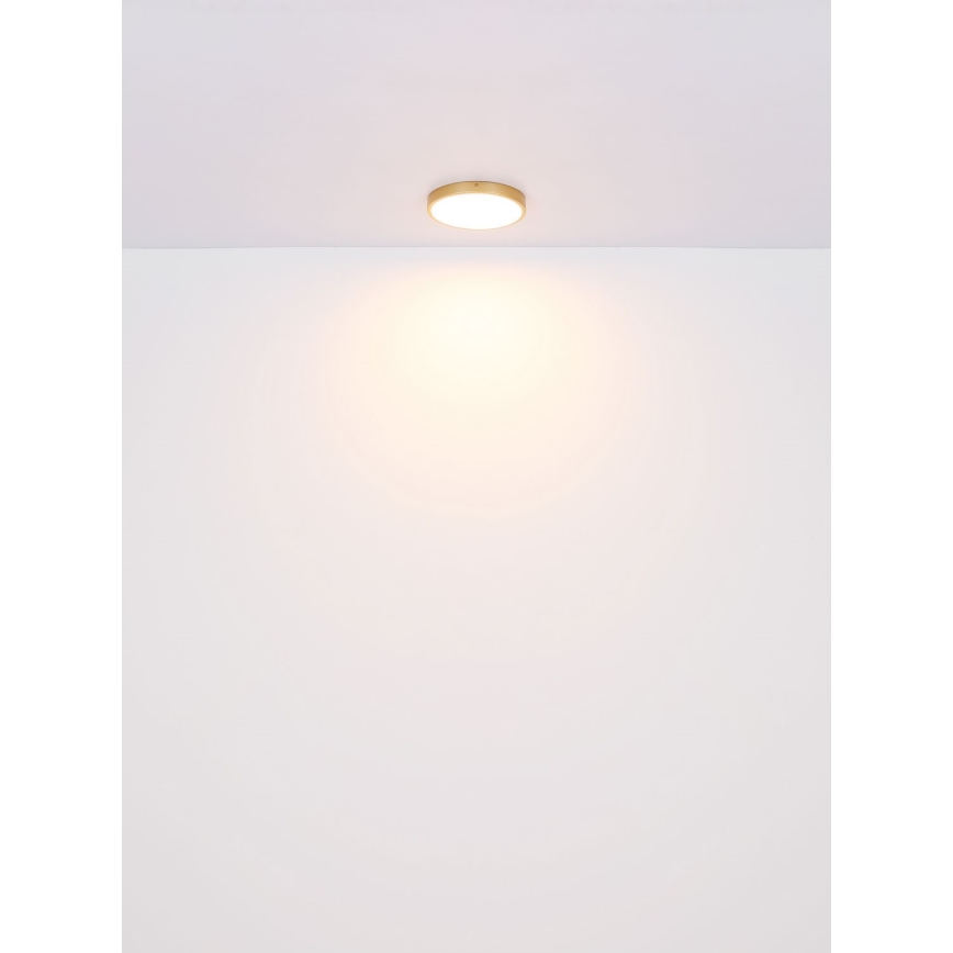 Globo - Plafón LED LED/30W/230V diá. 45 cm