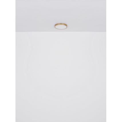 Globo - Plafón LED LED/30W/230V diá. 45 cm