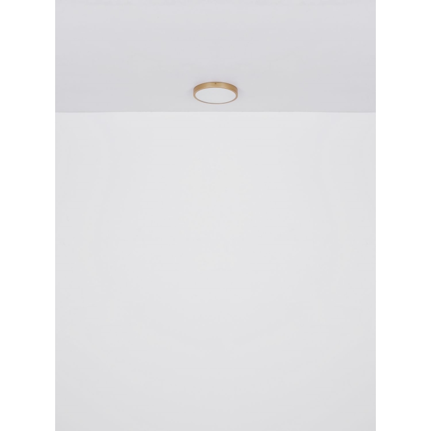 Globo - Plafón LED LED/30W/230V diá. 45 cm